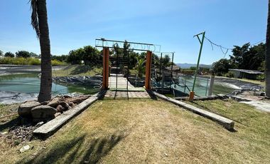 Venta de Terreno en Tepalcingo