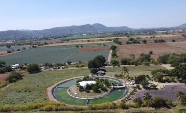 Venta de Terreno en Tepalcingo