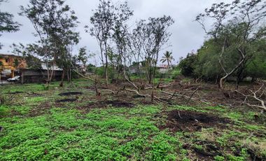 Terreno en venta en Galeana, Zacatepec