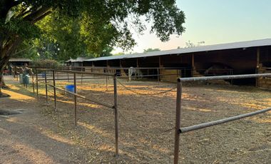 Venta de Rancho-Hotel en Xochitepec