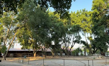 Venta de Rancho-Hotel en Xochitepec