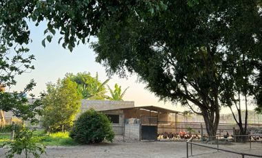 Venta de Rancho-Hotel en Xochitepec