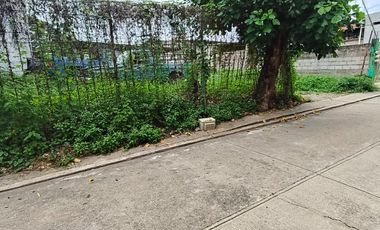 Venta de terreno San juan Bautista Tuxtepec