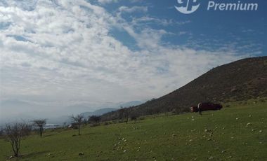 Agrícola en Venta en ruta E89 con santuario teresa de los andes