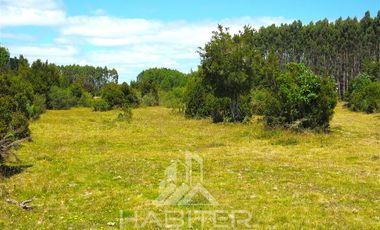 Parcela en Venta en Canal de Chacao