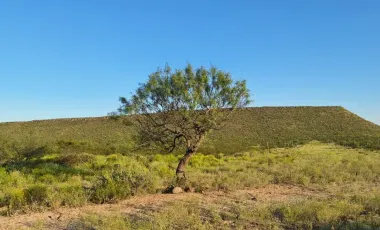 Finca-Rancho en venta en Rancho Nuevo, Ramos Arizpe, Coahuila de Zaragoza
