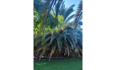 Venta Oportunidad Casa Condominio en Chicureo