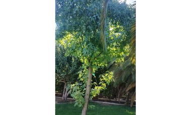 Venta Oportunidad Casa Condominio en Chicureo