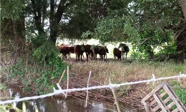 SE VENDE CASA EN PARCELA A 5 KILÓMETROS DE LOS NGELES