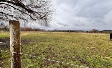 SE VENDE PARCELA 1 HECTAREA SECTOR SANTA AMELIA CERCA DE COIHUE