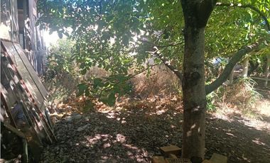 SE VENDE PROPIEDAD EN CENTRO DE NACIMIENTO