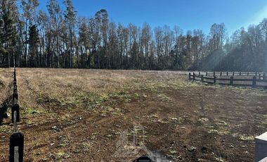 Sitio en Venta en SITIO OPORTUNIDAD LONCOTRARO