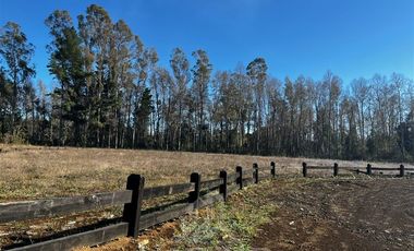 Sitio en Venta en SITIO OPORTUNIDAD LONCOTRARO