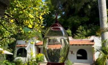 Vendo Casa Pino Col. Rancho Cortes Cuernavaca Morelos