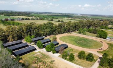 Casa en Venta o Alquiler Amoblada Tessalia I Mallmann Propiedades
