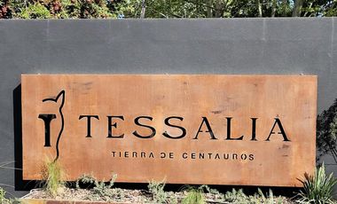Casa en Venta o Alquiler Amoblada Tessalia I Mallmann Propiedades