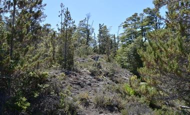 CAMINO TORTEL KM 90