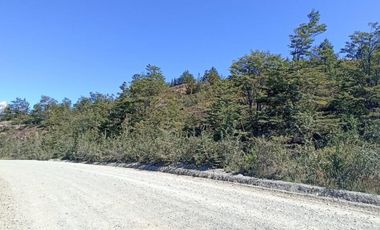 CAMINO TORTEL KM 90