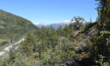 CAMINO TORTEL KM 90