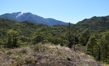 CAMINO TORTEL KM 90
