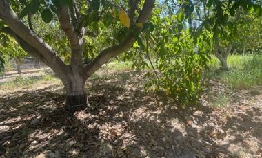 OFERTA ! PARCELA CON CASA TIPO CABAÑA EXCELENTE UBICACIÓN