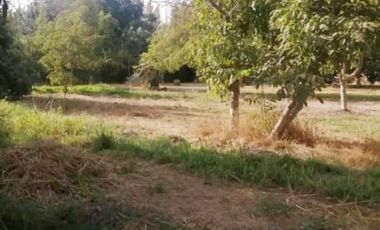 OFERTA ! PARCELA CON CASA TIPO CABAÑA EXCELENTE UBICACIÓN