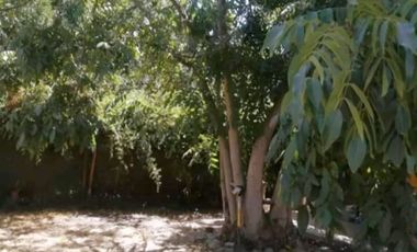 OFERTA ! PARCELA CON CASA TIPO CABAÑA EXCELENTE UBICACIÓN