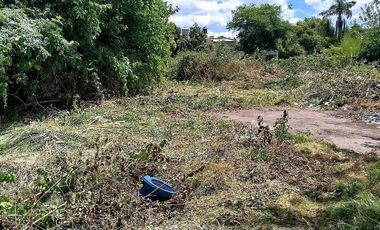 Terreno en Venta Colectora Oeste, Acceso Norte, Panamericana ramal Pilar km42.5, Del Viso