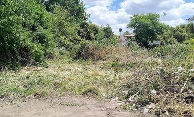 Terreno en Venta Colectora Oeste, Acceso Norte, Panamericana ramal Pilar km42.5, Del Viso
