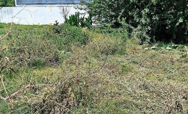 Terreno en Venta Colectora Oeste, Acceso Norte, Panamericana ramal Pilar km42.5, Del Viso