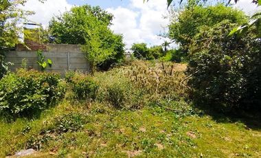 Terreno en Venta Colectora Oeste, Acceso Norte, Panamericana ramal Pilar km42.5, Del Viso