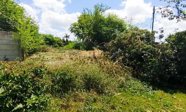 Terreno en Venta Colectora Oeste, Acceso Norte, Panamericana ramal Pilar km42.5, Del Viso