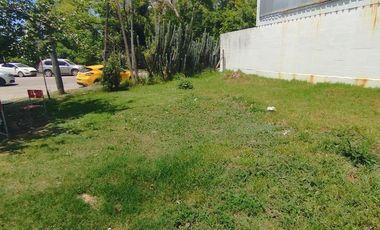Terreno en Venta Colectora Oeste, Acceso Norte, Panamericana ramal Pilar km42.5, Del Viso