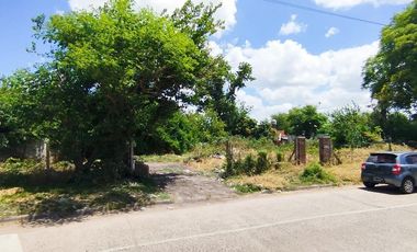 Terreno en Venta Colectora Oeste, Acceso Norte, Panamericana ramal Pilar km42.5, Del Viso