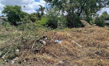Terreno en Venta Colectora Oeste, Acceso Norte, Panamericana ramal Pilar km42.5, Del Viso