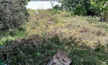 Terreno en Venta Colectora Oeste, Acceso Norte, Panamericana ramal Pilar km42.5, Del Viso