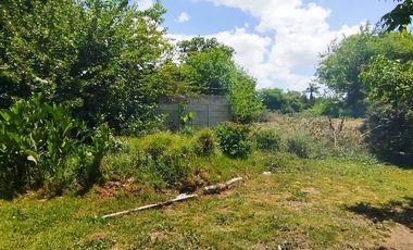 Terreno en Venta Colectora Oeste, Acceso Norte, Panamericana ramal Pilar km42.5, Del Viso