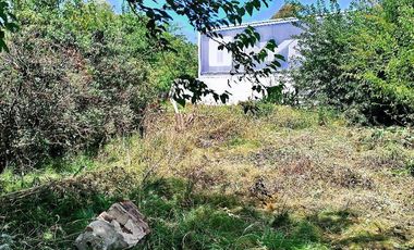 Terreno en Venta Colectora Oeste, Acceso Norte, Panamericana ramal Pilar km42.5, Del Viso