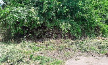 Terreno en Venta Colectora Oeste, Acceso Norte, Panamericana ramal Pilar km42.5, Del Viso
