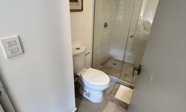 Departamento tipo loft en renta  en Bucareli