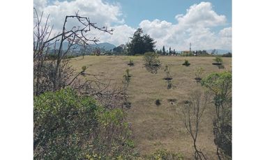 VENTA DE CASA FINCA MARINILLA