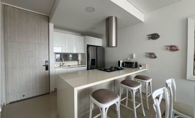 Se arrienda apartamento en Pozos Colorados, Sta Mta