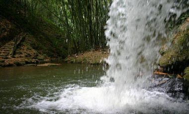 VENTA FINCA-HOTEL LA TEBAIDA QUINDIO