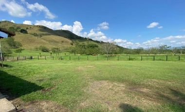 Finca para la venta en el sector del Ingenio Risaralda, La Virginia