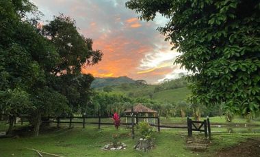 Finca para la venta en el sector del Ingenio Risaralda, La Virginia