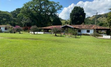 Finca para la venta en el sector del Ingenio Risaralda, La Virginia