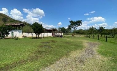 Finca para la venta en el sector del Ingenio Risaralda, La Virginia