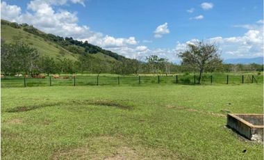 Finca para la venta en el sector del Ingenio Risaralda, La Virginia