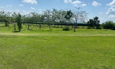 Finca para la venta en el sector del Ingenio Risaralda, La Virginia