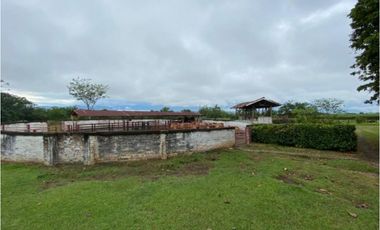 Finca para la venta en el sector del Ingenio Risaralda, La Virginia